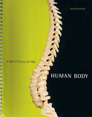 A Brief Atlas of the Human Body by Matt. Hutchinson
