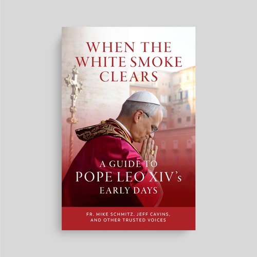 When the White Smoke Clears: A Guide to Pope Leo XIV's Early Days by Fr. Mike Schmitz, Jeff Cavins, Dr. Edward Sri, Dr. Marcellino D'Ambrosio, Fr. Josh Johnson, Katie Prejean McGrady, Dr. Michael Dauphinais