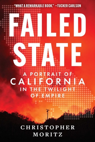 Failed State by Christopher Moritz