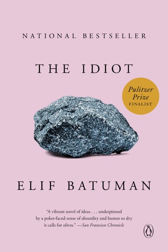 The Idiot: A Novel by Elif Batuman