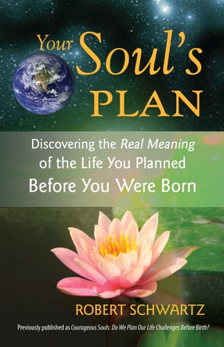 Your Soul's Plan: Discovering the Real Meaning of the Life You Planned Before You Were Born by Robert Schwartz