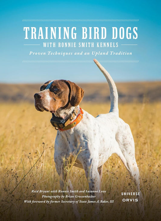 Training Bird Dogs