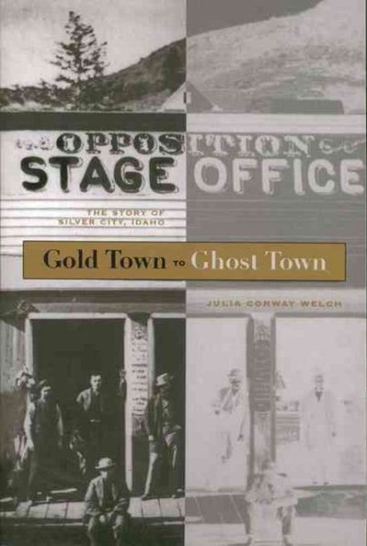 Gold Town to Ghost Town: The Story of Silver City, Idaho