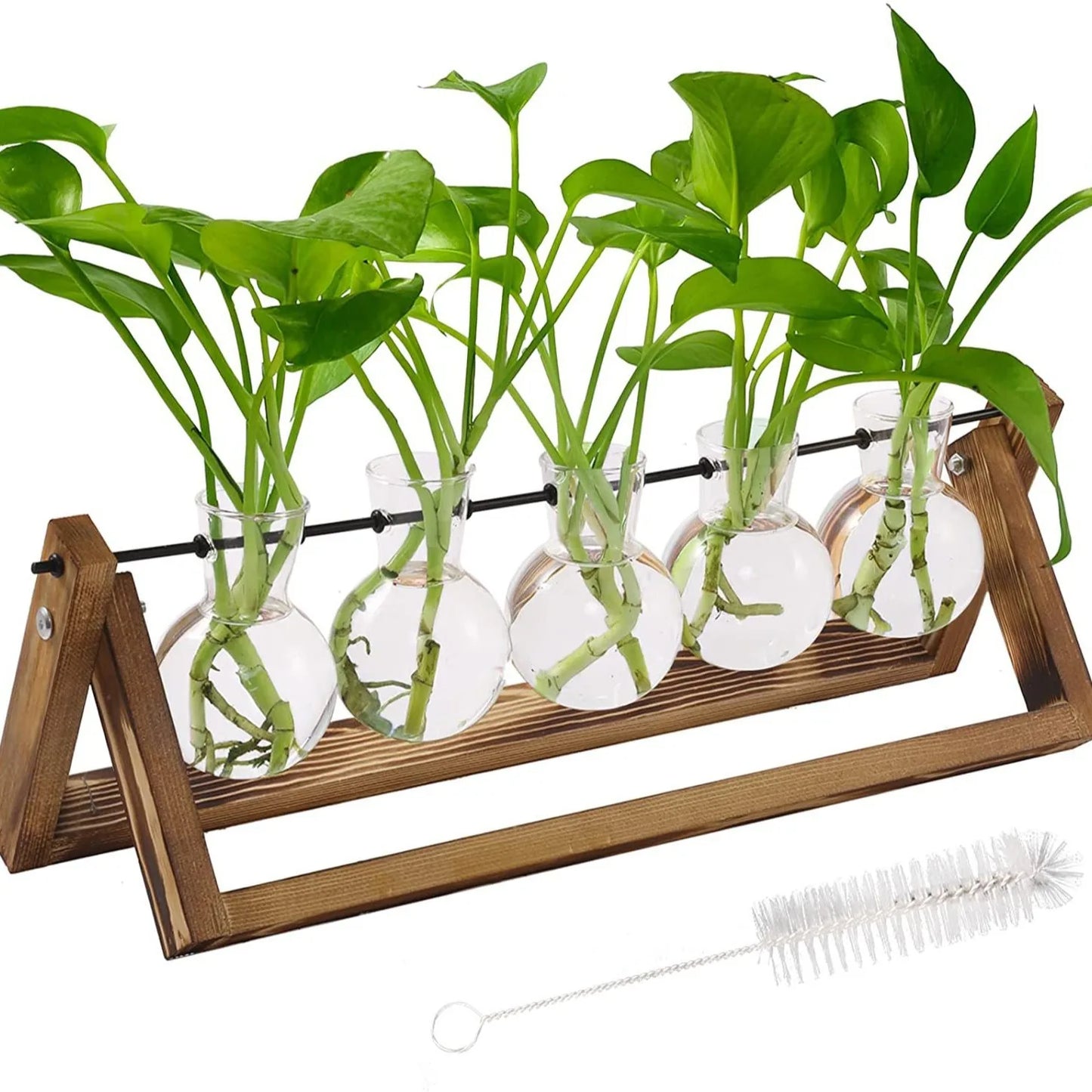 DIY Budget Botanist 5-Beaker Hydroponic Vegetation Home Grow Station by Green Thumb Gadgets