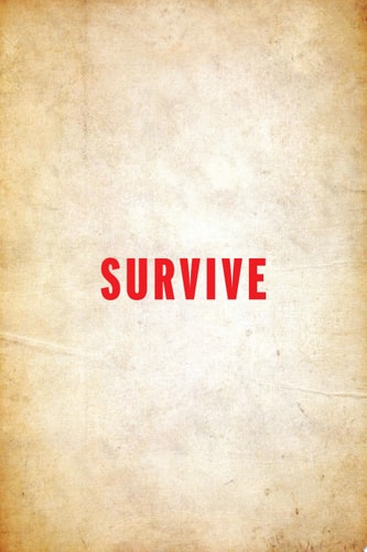 Survive The All-In-One Guide to Staying Alive in Extreme Conditions: While Camping, Hiking Or Orienteering in the Great Outdoors | Ky Furneaux