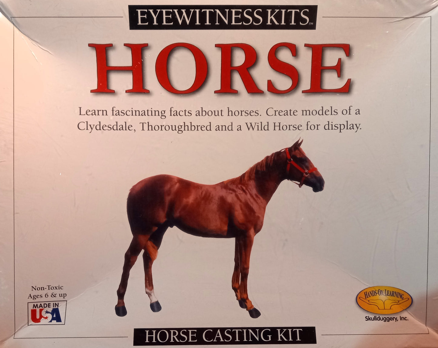 Eyewitness Kits: Horse Casting Kit