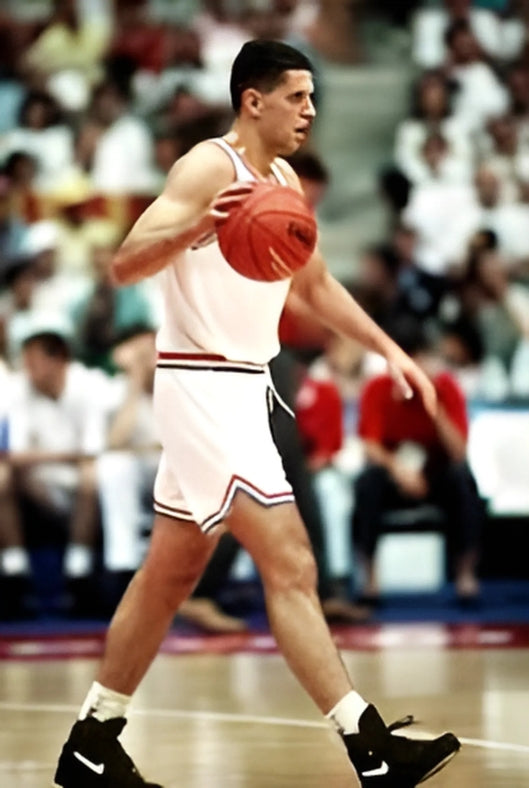 The Mozart of Basketball: The Remarkable Life and Legacy of Drazen Petrovic