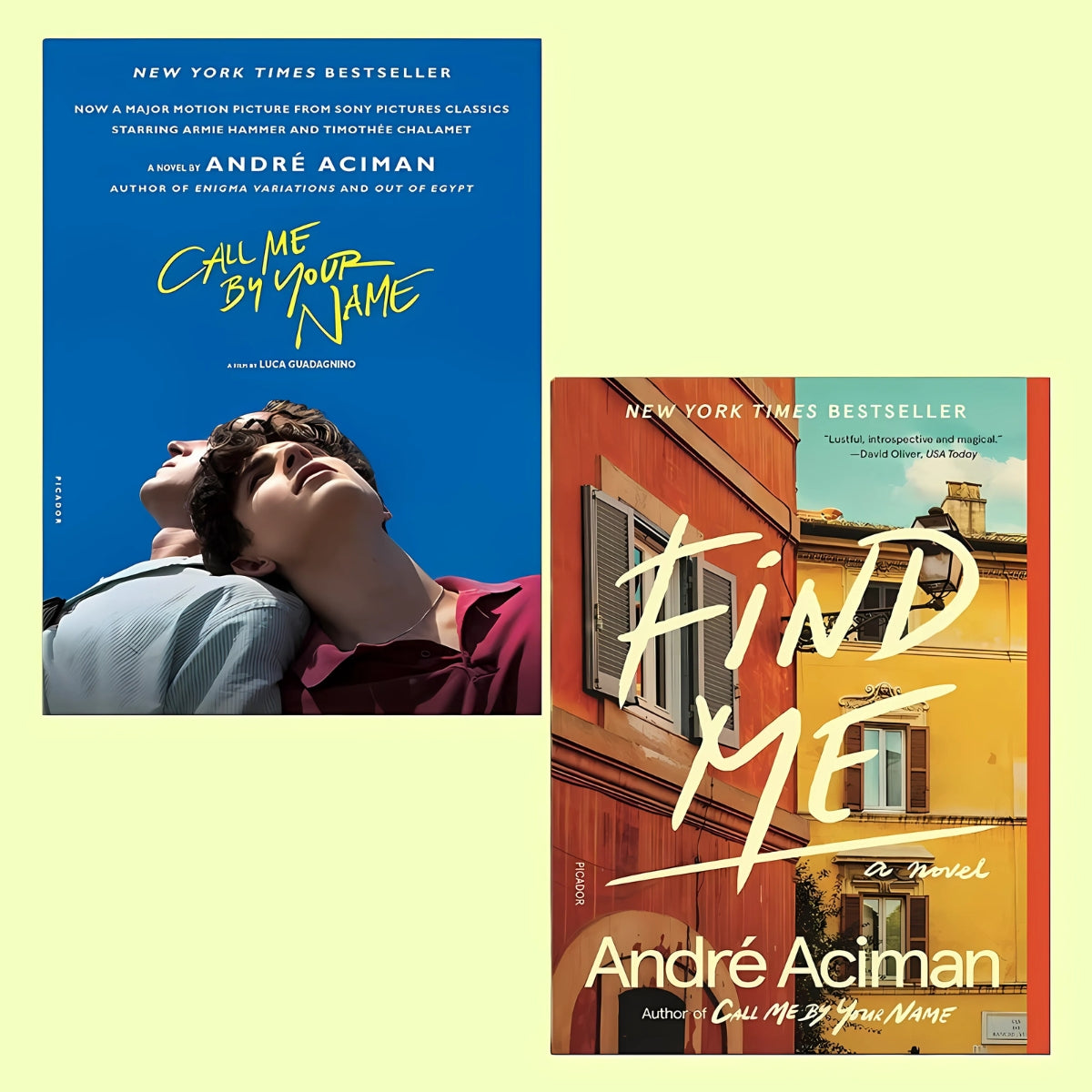 Call Me by Your Name & Find Me by Andre Aciman || Double Book Bundle