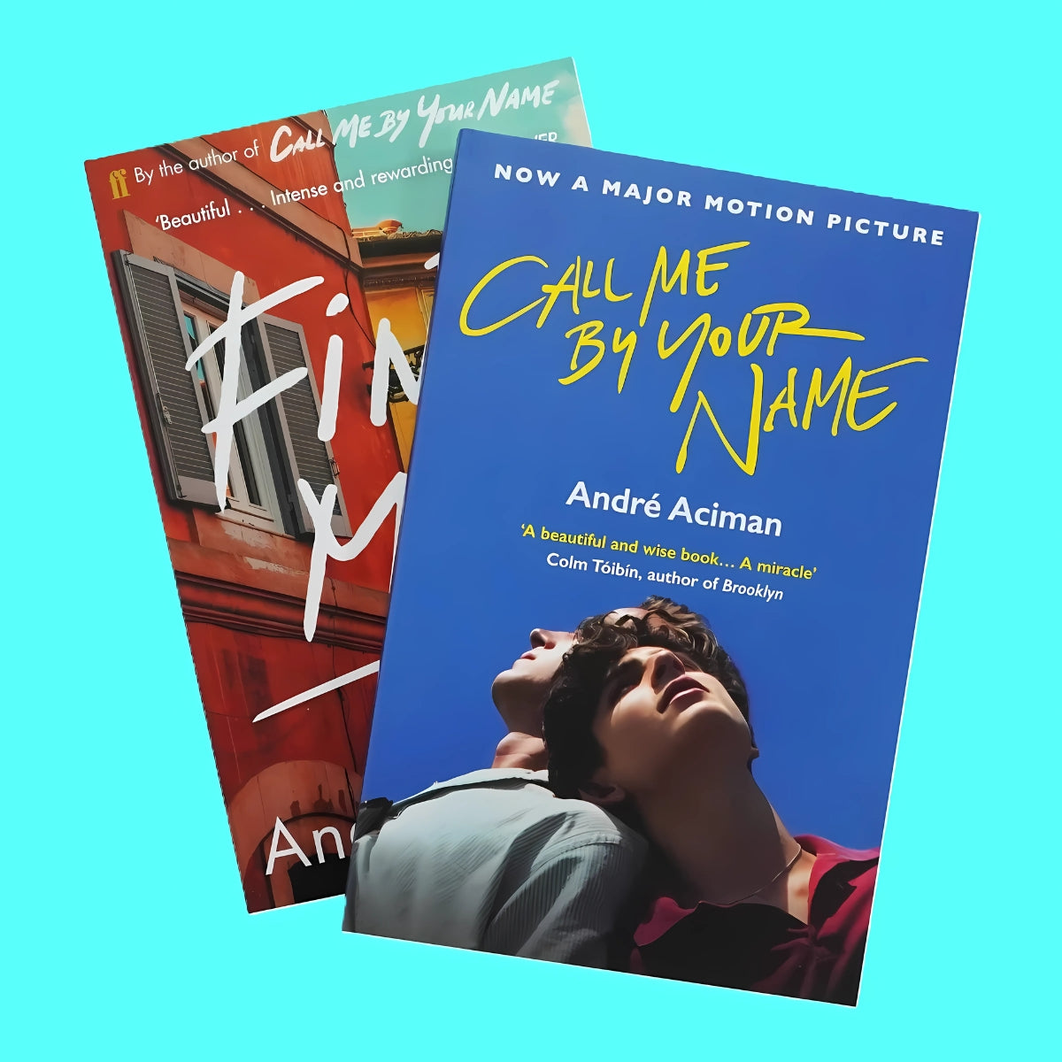 Call Me by Your Name & Find Me by Andre Aciman || Double Book Bundle