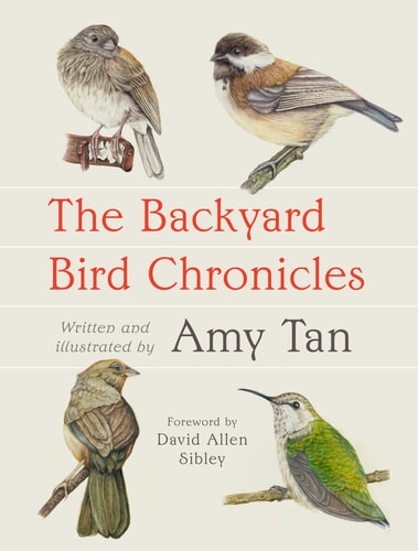 The Backyard Bird Chronicles by Amy Tan and David Allen Sibley