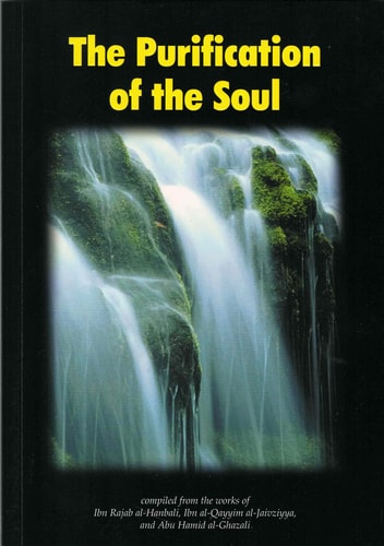 Book cover titled 'The Purification of the Soul' with a waterfall image on a black background