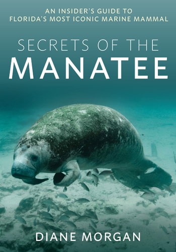 Secrets of the Manatee: An Insider's Guide to Florida’s Most Iconic Marine Mammal | Diane Morgan