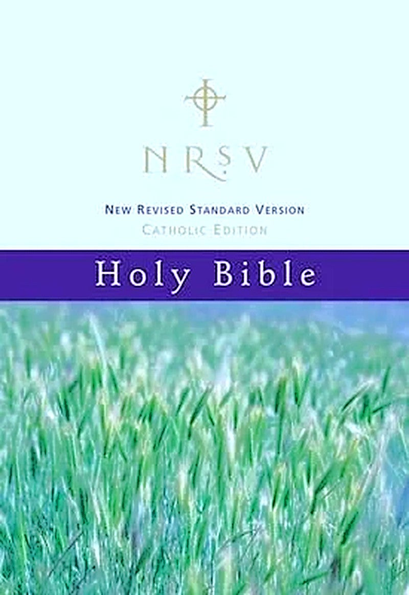 The New Revised Standard Version (NRSV)  Bible