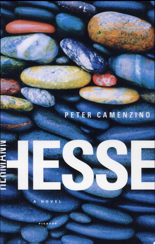 Book front cover of 'Peter Camenzind: A Novel' by Herman Hesse, featuring stones and title text.