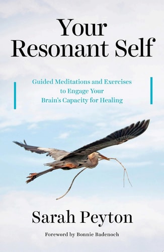 Book cover of 'Your Resonant Self' with a bird flying against a blue sky.