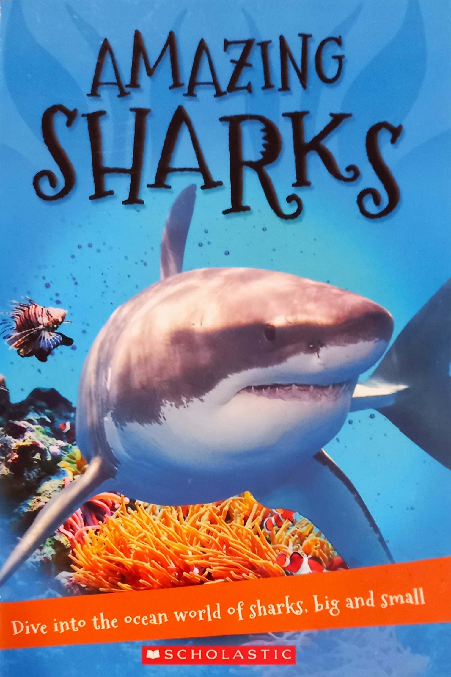 Book cover of 'Amazing Sharks' by Scholastic Books for Children and Juvenile Nonfiction Marine Life Education with a shark and oceanic scene on a blue background.