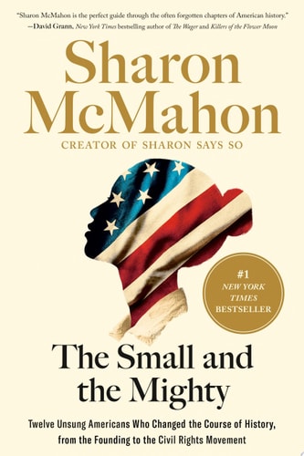Book cover of 'The Small and the Mighty' by Sharon McMahon with an American flag design.