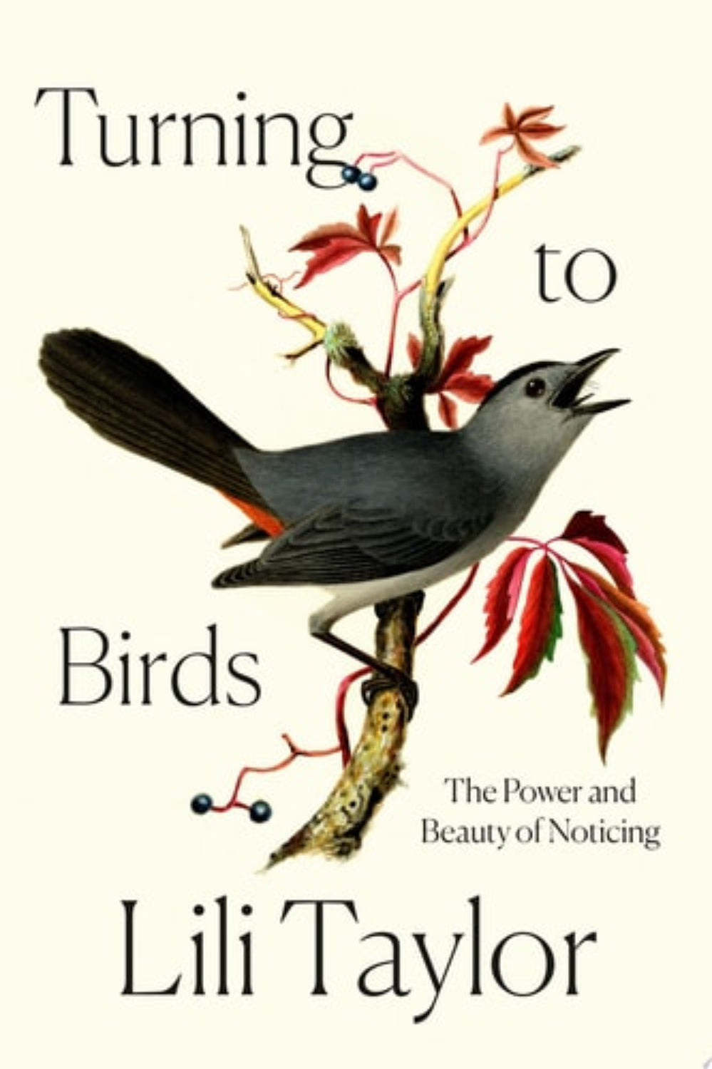 Book cover of 'Turning to Birds: The Power and Beauty of Noticing' by Lili Taylor with a bird and branch illustration.
