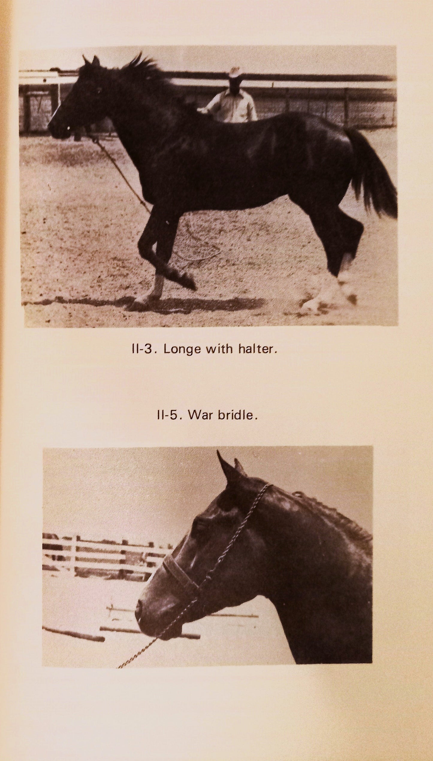 Western Equitation, Horsemanship and Showmanship by Dwight Stewart