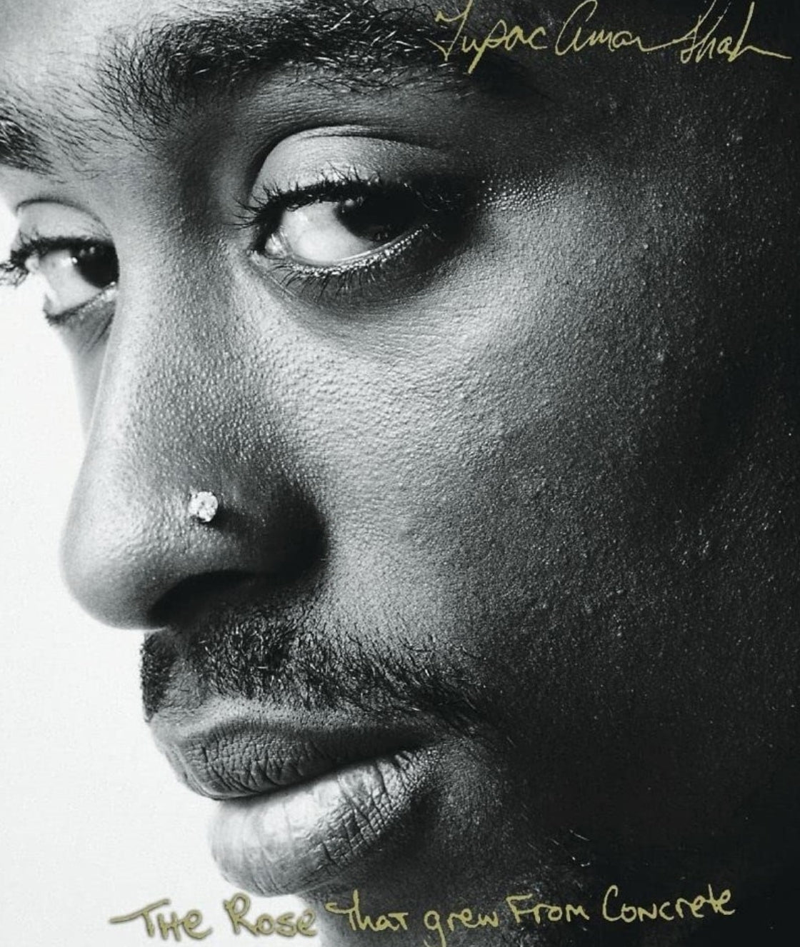 This image features the cover of "The Rose That Grew from Concrete," a poetry collection by Tupac Amaru Shakur. The cover is strikingly simple yet powerful, with a close-up black and white photograph of Tupac's face, capturing his intense and thoughtful expression.