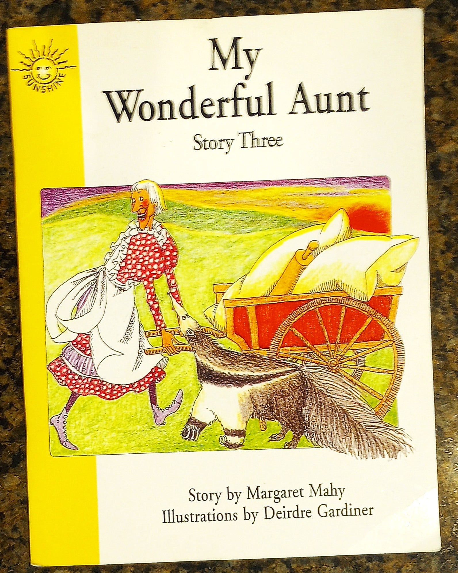 Book cover of 'My Wonderful Aunt' with illustrations and text