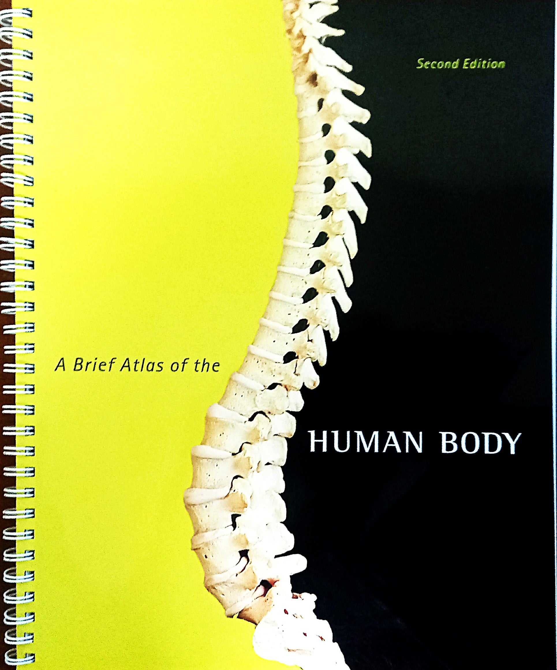 Cover of the book 'A Brief Atlas of the Human Body' showing a photograph of a human spine from the back, with the title and author's name at the top.