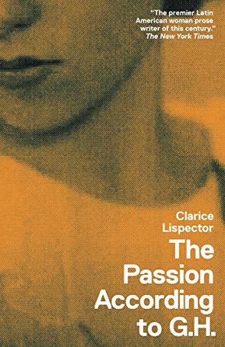Book cover of 'The Passion According to G.H.' by Clarice Lispector with a stylized portrait and text.