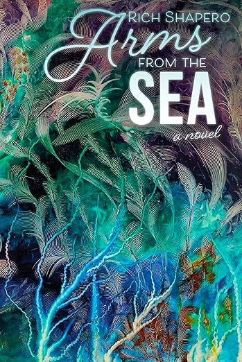 Arms From The Sea: A Novel by Rich Shapero