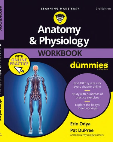 Workbook for Anatomy & Physiology for Dummies book front cover