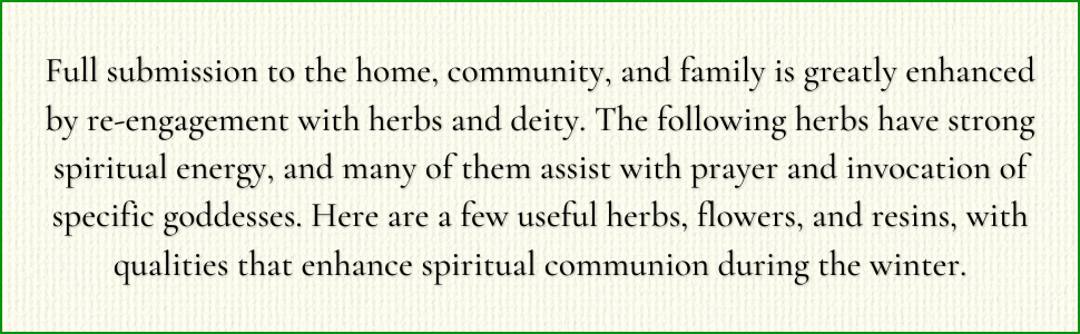 African American Magick by Stephanie Rose Bird