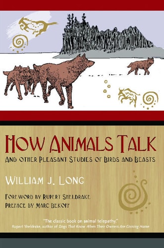Book cover of 'How Animals Talk' with illustrations of animals and text.