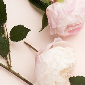 The Woman's Herbal Apothecary by JJ Pursell