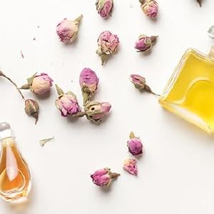 The Woman's Herbal Apothecary by JJ Pursell