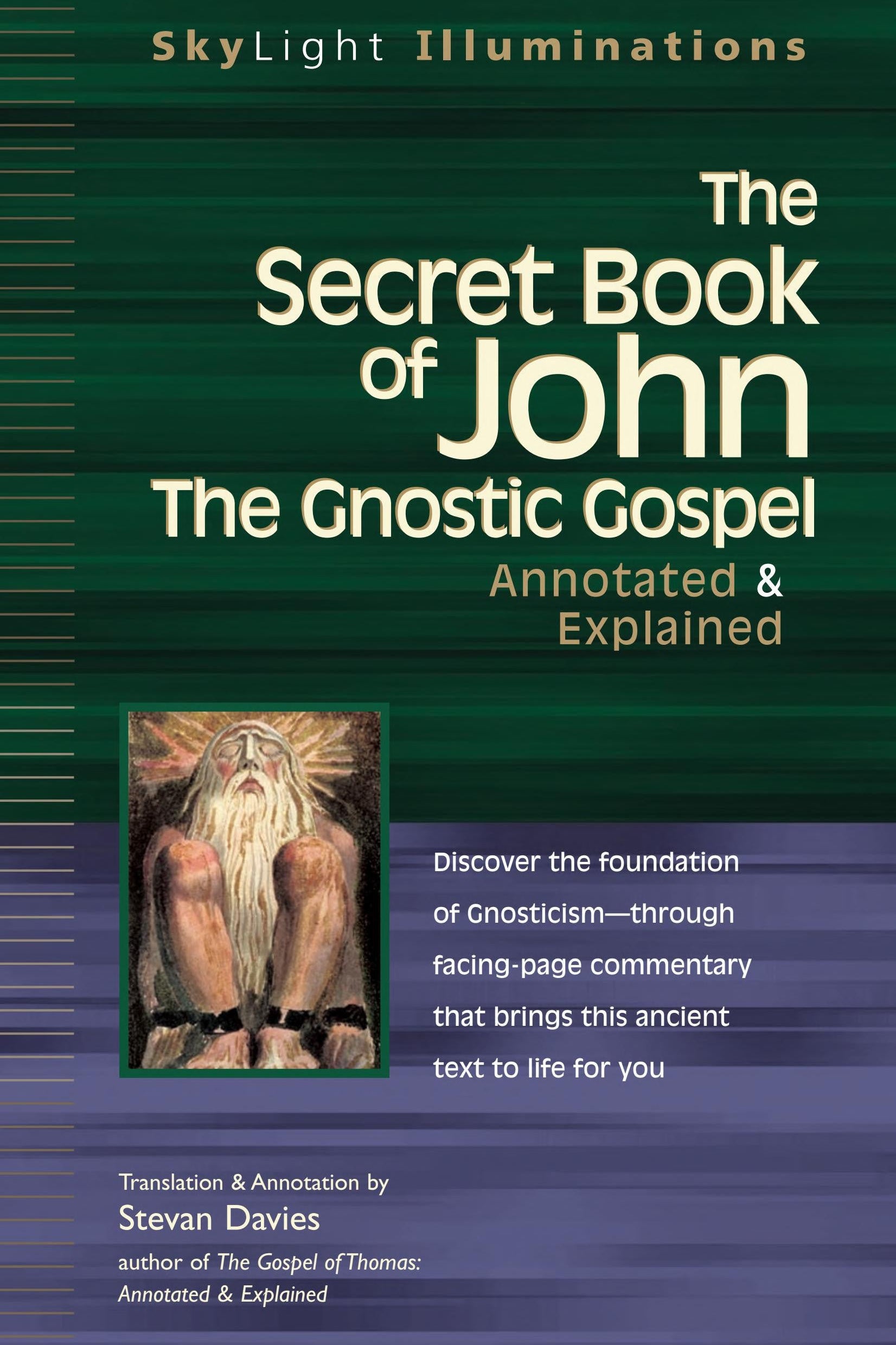 Book cover of 'The Secret Book of John: The Gnostic Gospel' with a green and purple color scheme.