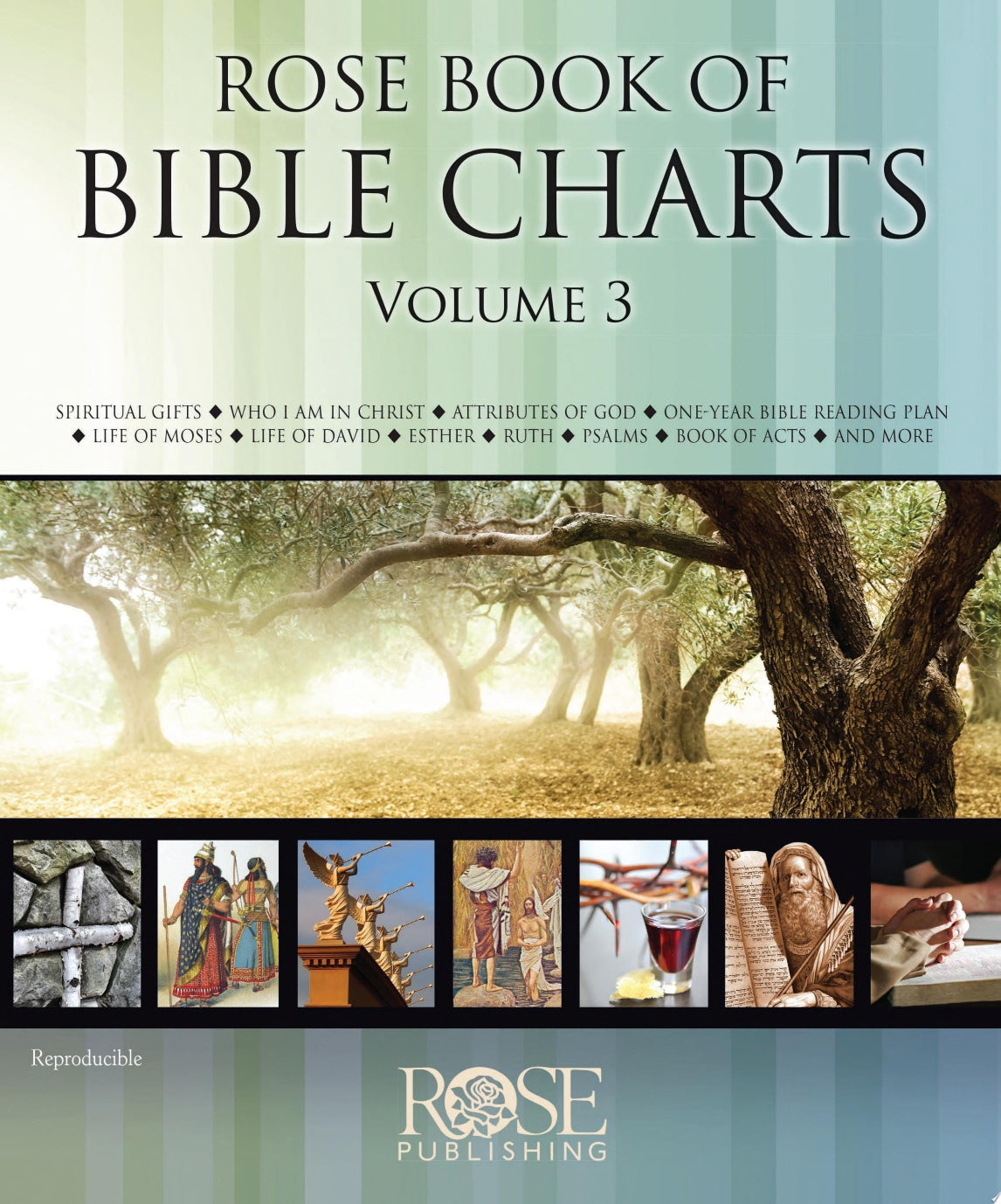 Cover of 'Rose Book of Bible Charts Volume 3' with a tree and people reading at the bottom.