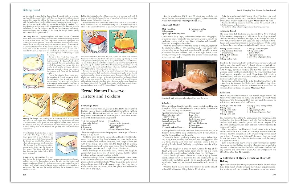 Back to Basics by Abigail R. Gehring