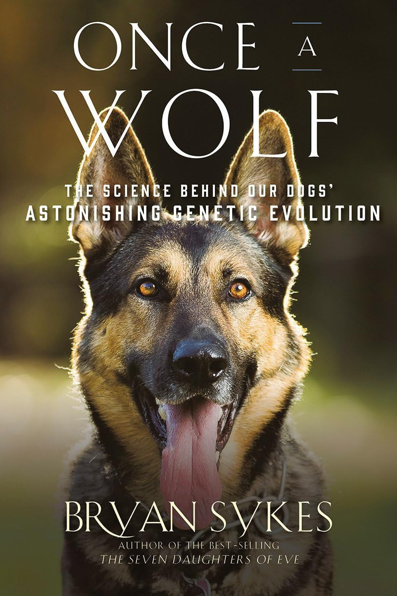 Book cover of 'Once a Wolf' with a German Shepherd dog and text about genetic evolution.