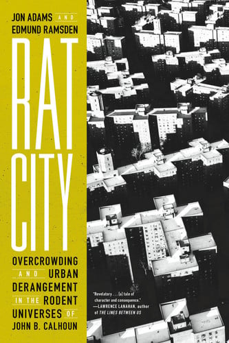 Book cover for 'Rat City' by Jon Adams and Edmund Ramsden, featuring a bold yellow left panel with large white title text and a black-and-white aerial photograph of dense apartment buildings on the right.