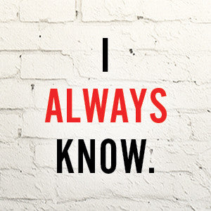 Never Lie by Freida McFadden