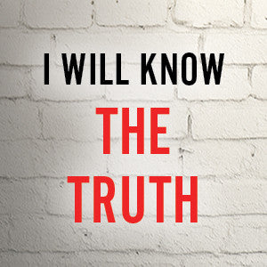 Never Lie by Freida McFadden