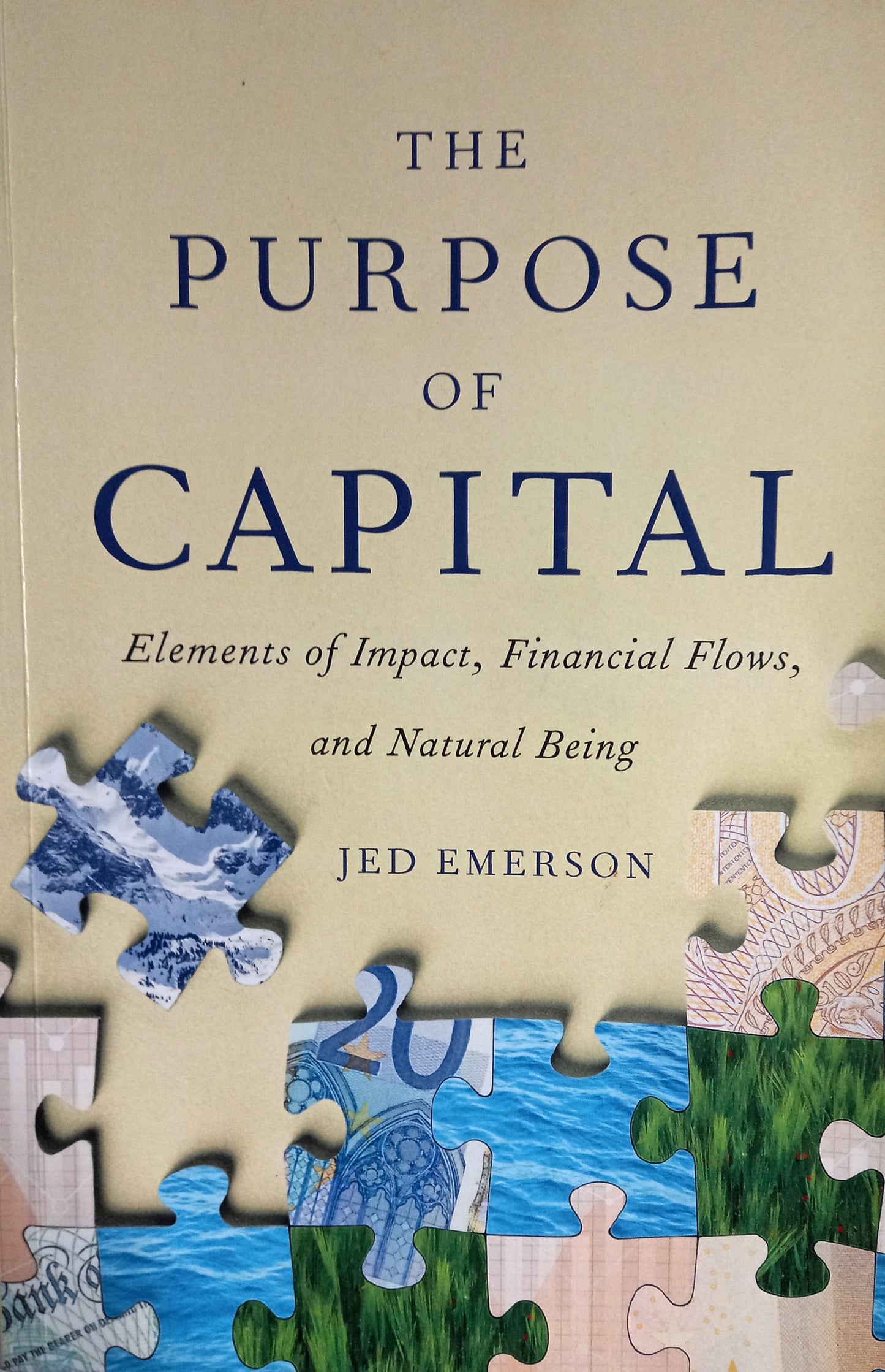 The Purpose of Capital by Jed Emerson