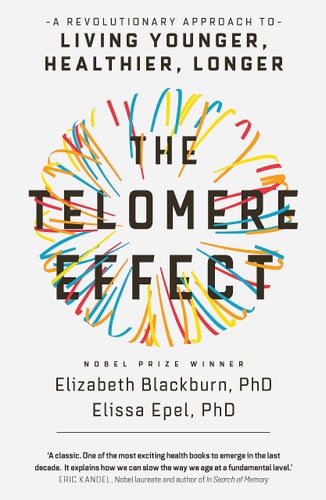 This image features the cover of the book "The Telomere Effect: A Revolutionary Approach to Living Younger, Healthier, Longer" by Elizabeth Blackburn, PhD, and Elissa Epel, PhD. The cover design is dynamic and visually appealing, with a vibrant, radiating pattern of colors that gives a sense of energy and innovation.