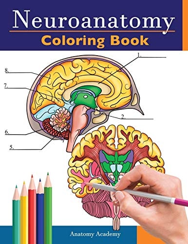 Neuroanatomy Coloring Book: Incredibly Detailed Self-Test Human Brain Coloring Book for Neuroscience | Perfect Gift for Medical School Students, Nurses, Doctors and Adults | Anatomy Academy