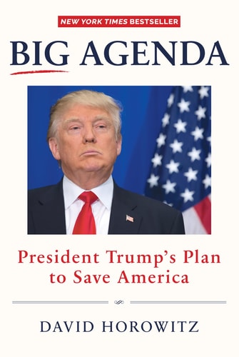 Big Agenda by David Horowitz