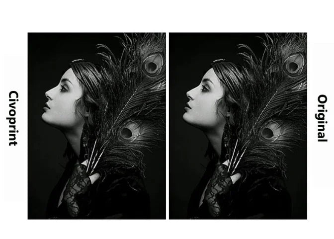 Side-by-side comparison of a woman with peacock feathers, labeled 'Civoprint' on the left and 'Original' on the right.