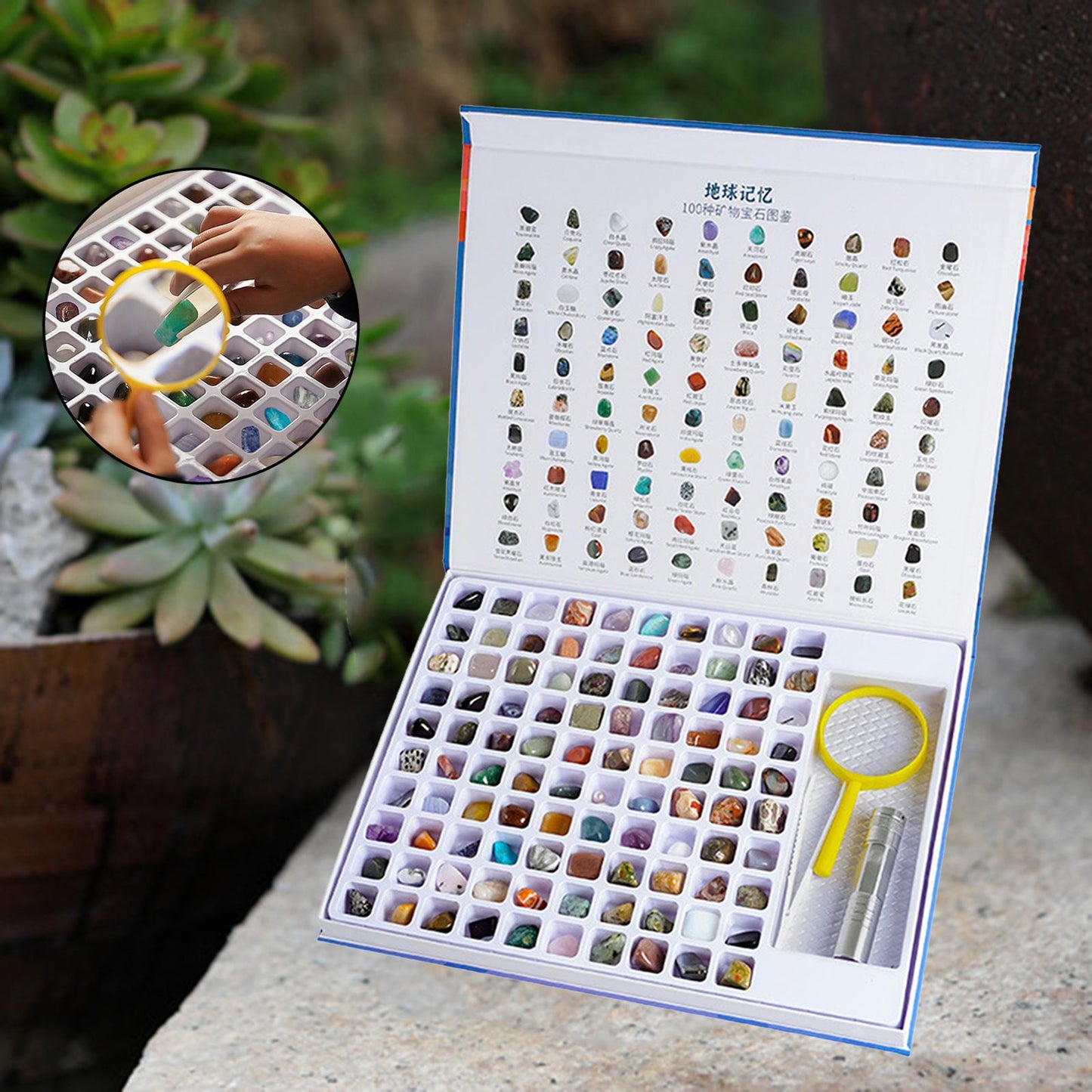 Natural Geology Rock Mineral STEM Kit