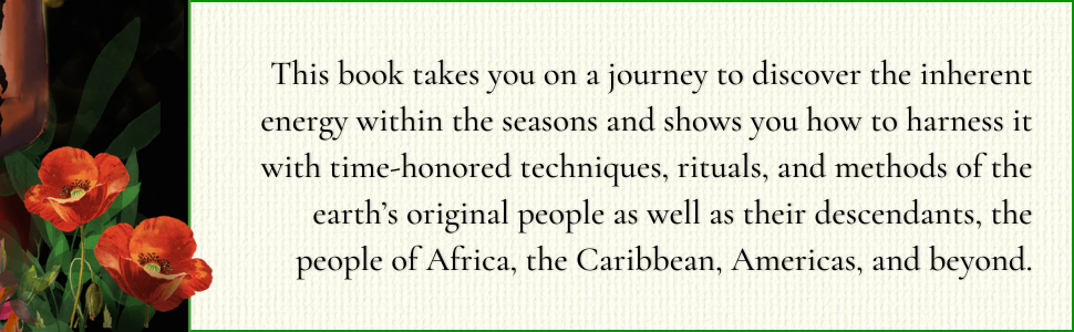 African American Magick by Stephanie Rose Bird