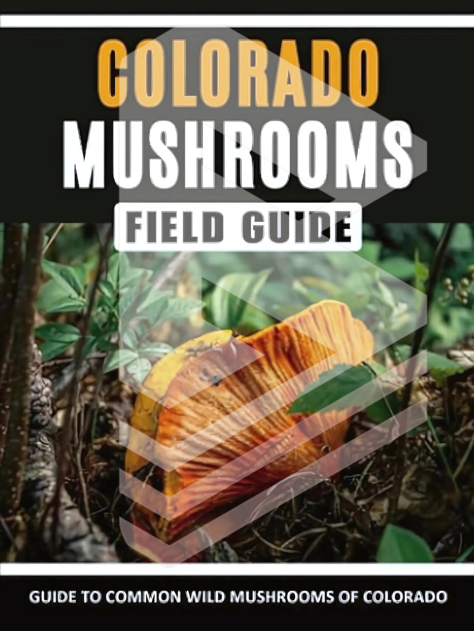 Mushrooms of Colorado: Identification Field Guide to Common Wild Mushrooms in the West