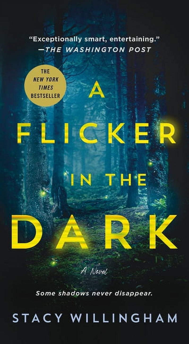 A Flicker in the Dark : a Novel (Paperback)
