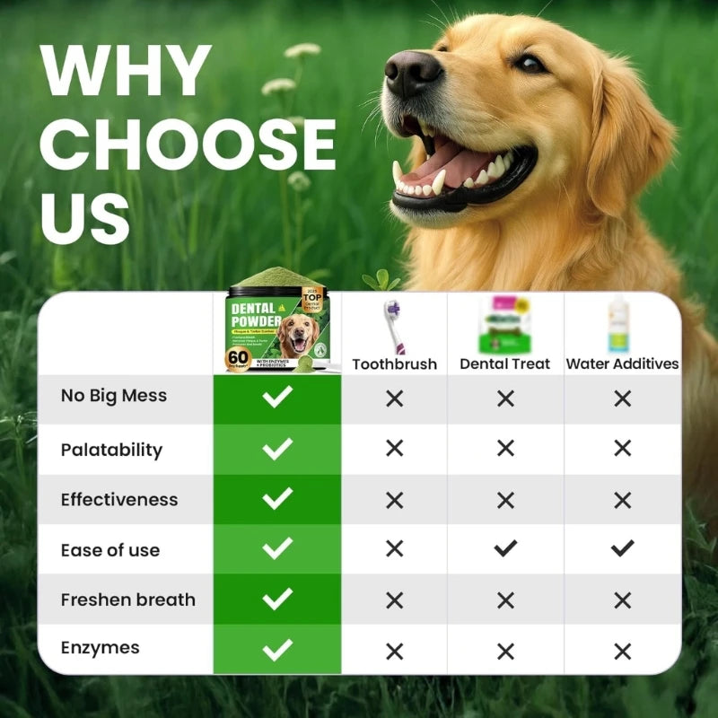 Dog with dental powder packaging and chart on grass background